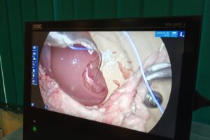 625890183_122241124844119732_3508697500691711375_n